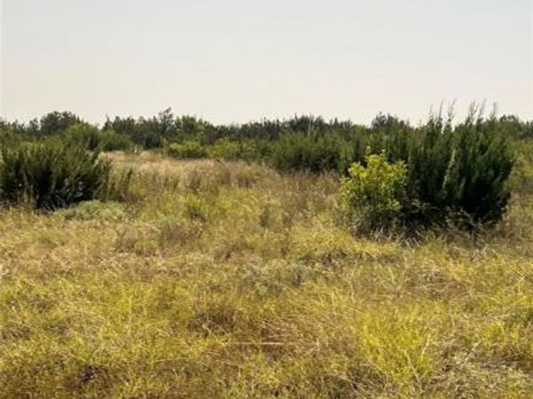 TBD Fm 1929 , Paint Rock, TX 76866