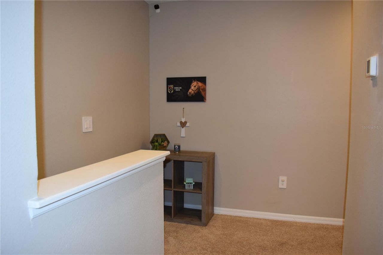 6572 Serenity Fall Lane, Sarasota, FL 34240 Photo