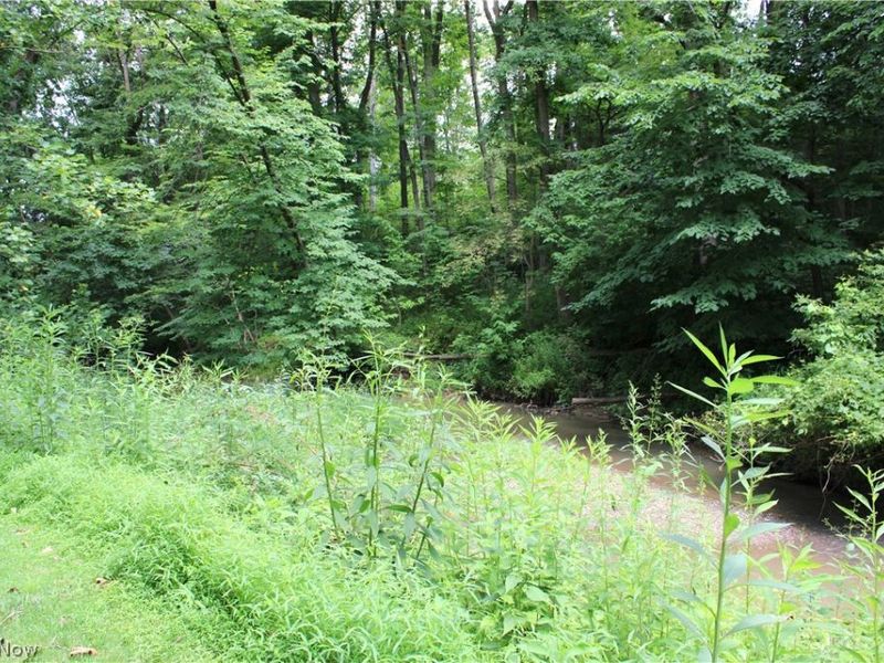 5547 River Styx Road, Medina, OH 44256 Photo 45