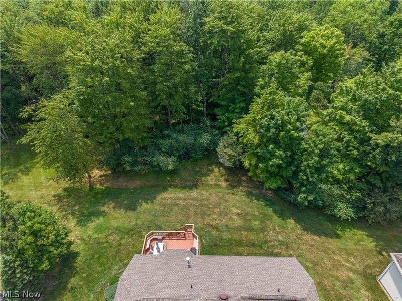 5229 Waterbridge Drive, North Royalton, OH 44133 Photo 47