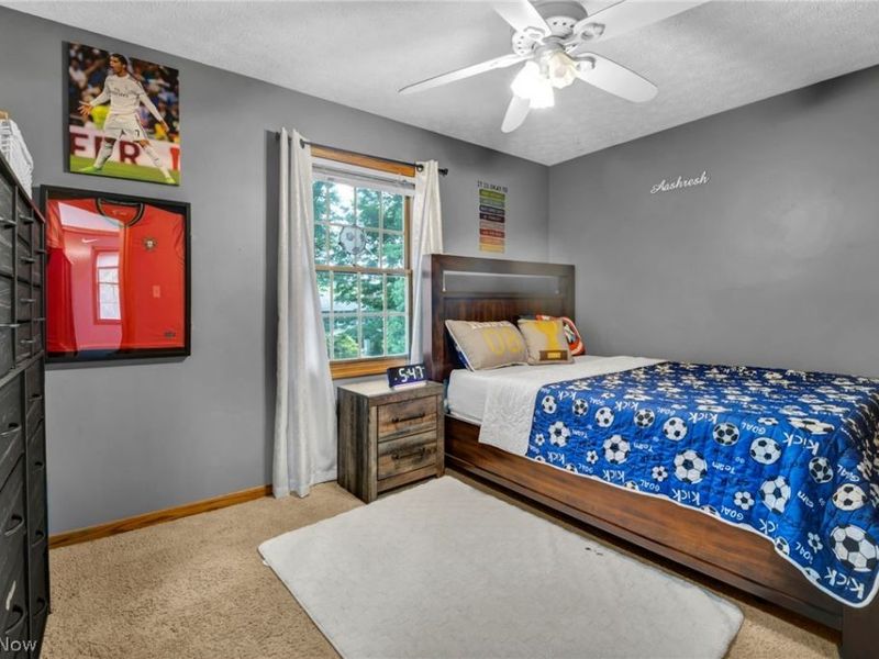 2524 Mallory Lane, Stow, OH 44224 Photo 21