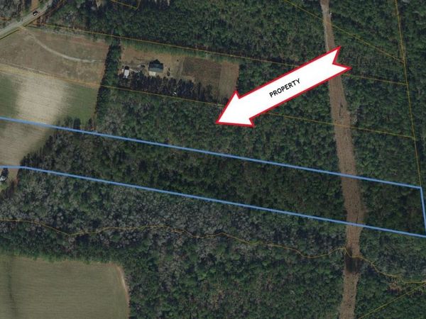 TBD U A Johnson Ln , Galivants Ferry, SC 29544