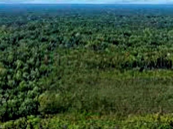 TBD , FORT MEADE, FL 33841