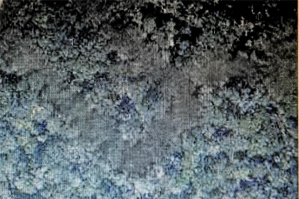 Tbd , Fort Meade, FL 33841 Photo
