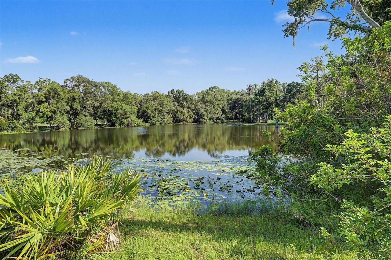 35 Greenhaven Trail, Oldsmar, FL 34677 Photo