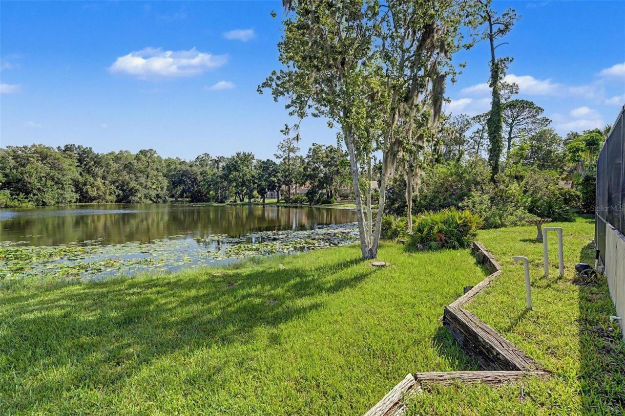 35 Greenhaven Trail, Oldsmar, FL 34677 Photo