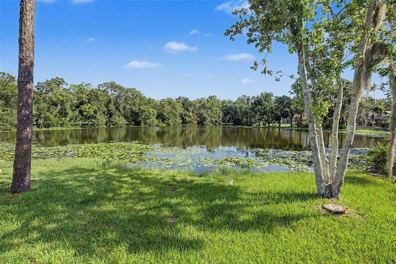 35 Greenhaven Trail, Oldsmar, FL 34677 Photo