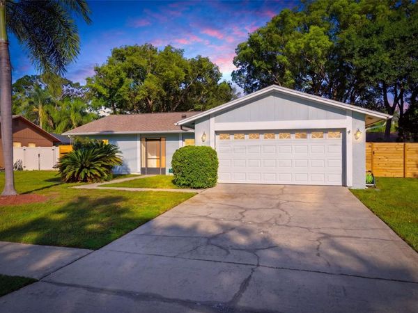 15906 CRYING WIND DRIVE , TAMPA, FL 33624