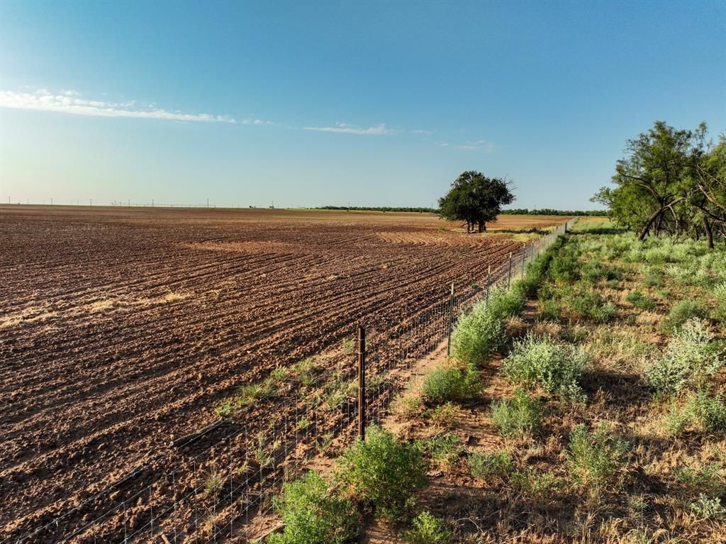 80 4220 County Road, Knox City, TX 79529 Main Photo
