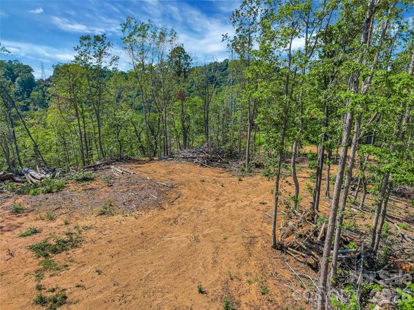 TBD Early Road, Saluda, NC 28773