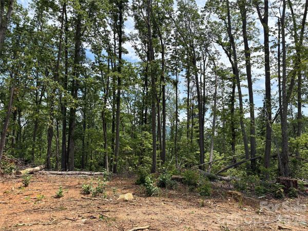 TBD Early Road , Saluda, NC 28773