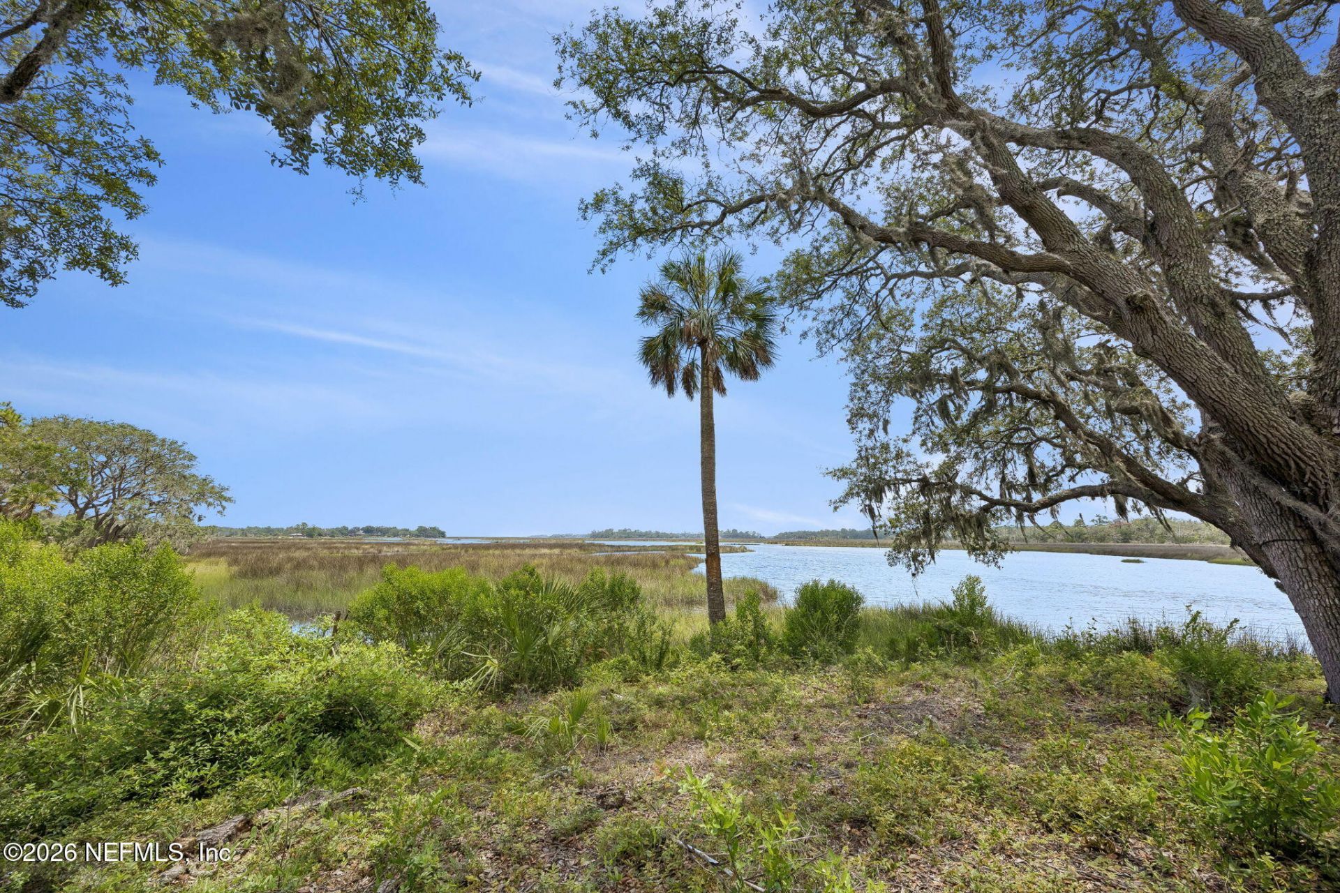 5071 Clapboard Creek Drive, Jacksonville, FL 32226 Photo