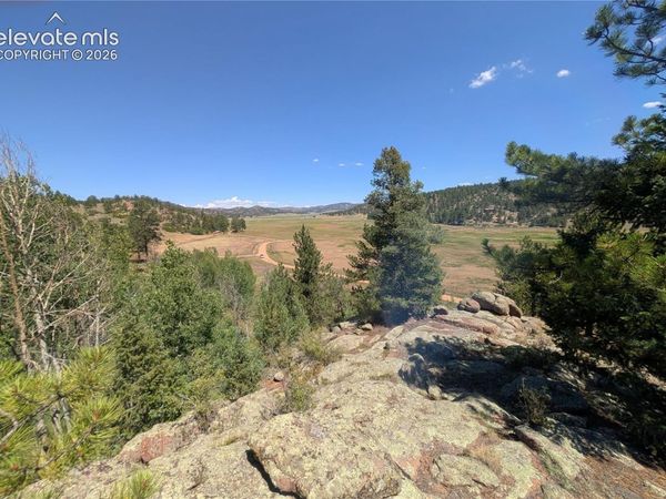 313 Elliott Drive, Florissant, CO 80816