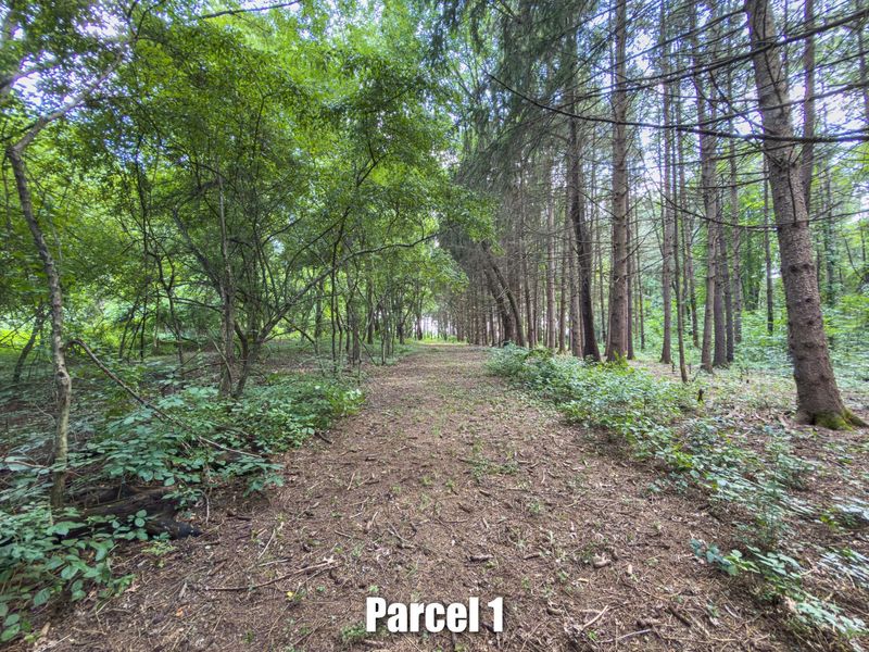 Parcel 2 E Walnut Street, New Albany, OH 43054 Photo 14
