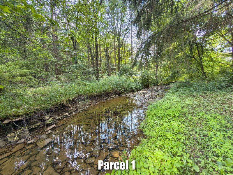 Parcel 2 E Walnut Street, New Albany, OH 43054 Photo 9