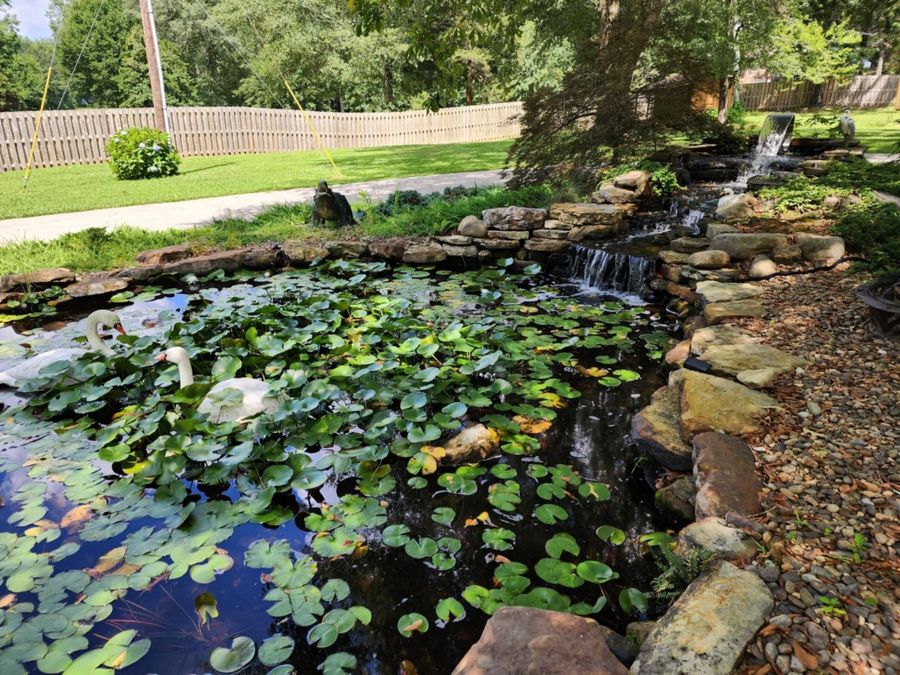 Property Image 60