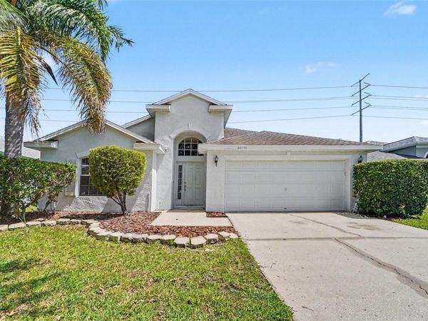 22901 HAWK HILL LOOP , LAND O LAKES, FL 34639