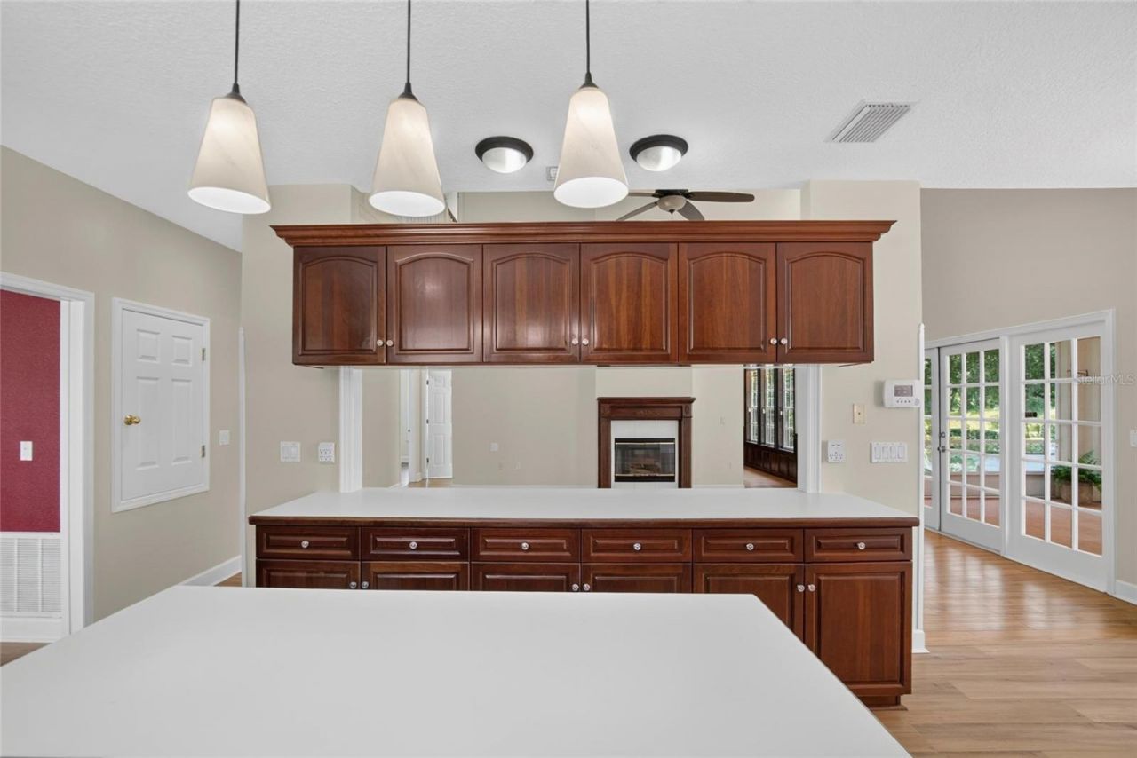 1701 Cottage Oaks Court, Brandon, FL 33510 Photo
