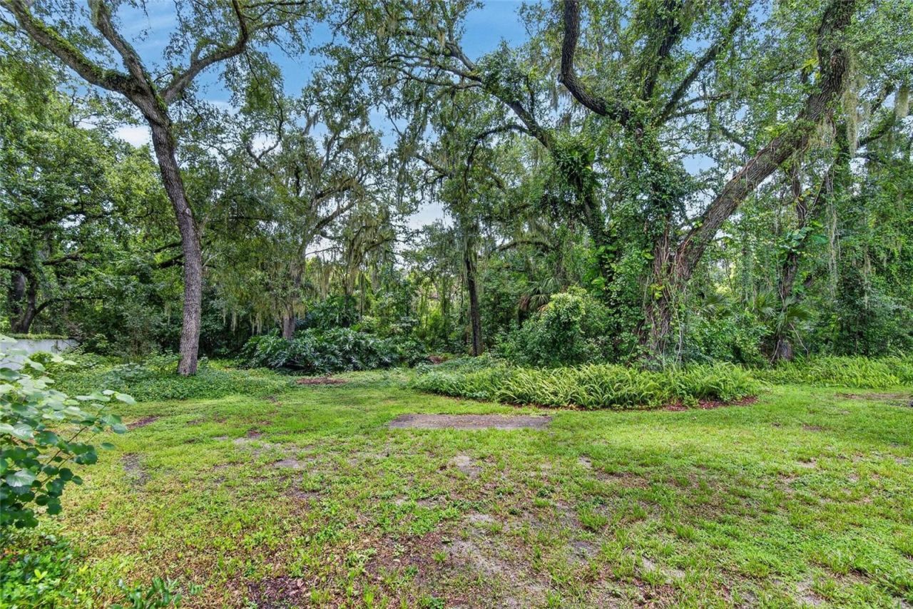 1701 Cottage Oaks Court, Brandon, FL 33510 Photo