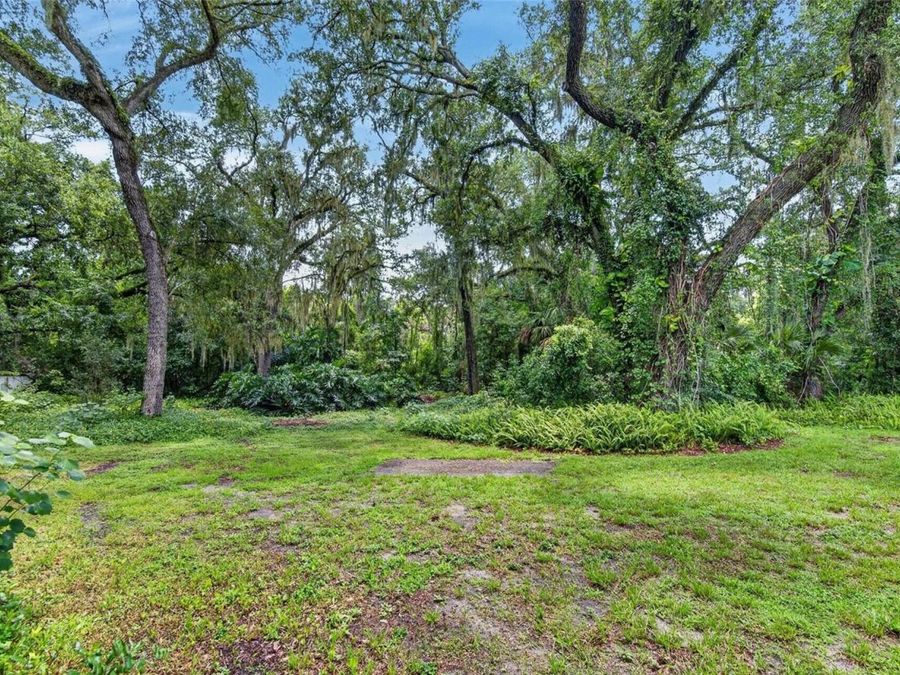 Property Image 54
