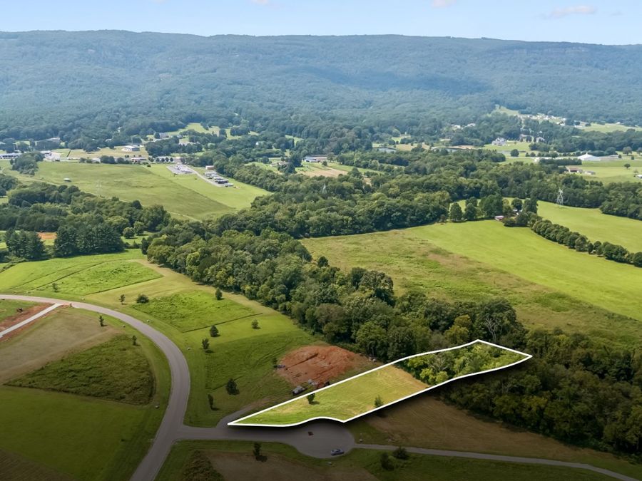 Property Image 4