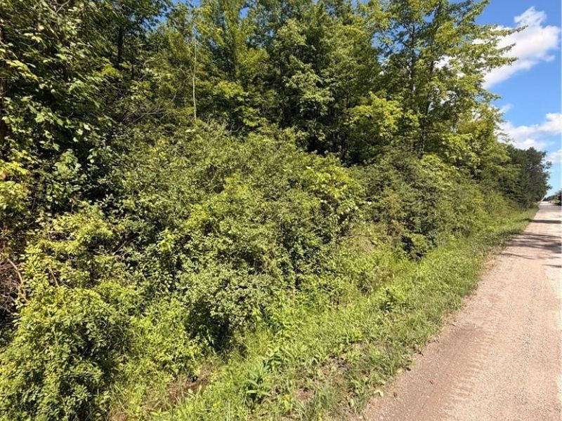 Forman Road, Rock Creek, OH 44084 Photo 1