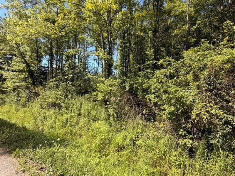 Forman Road, Rock Creek, OH 44084 Photo 2
