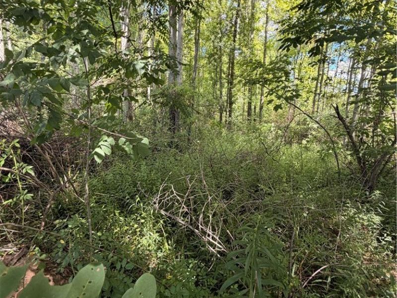 Forman Road, Rock Creek, OH 44084 Photo 4