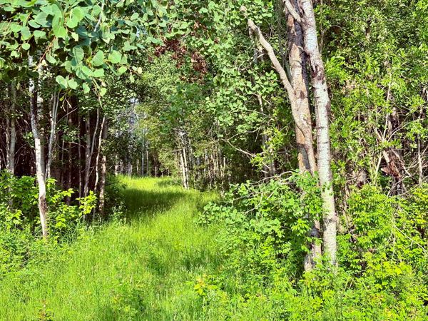 TBD 21st Ave SW , Baudette, MN 56623