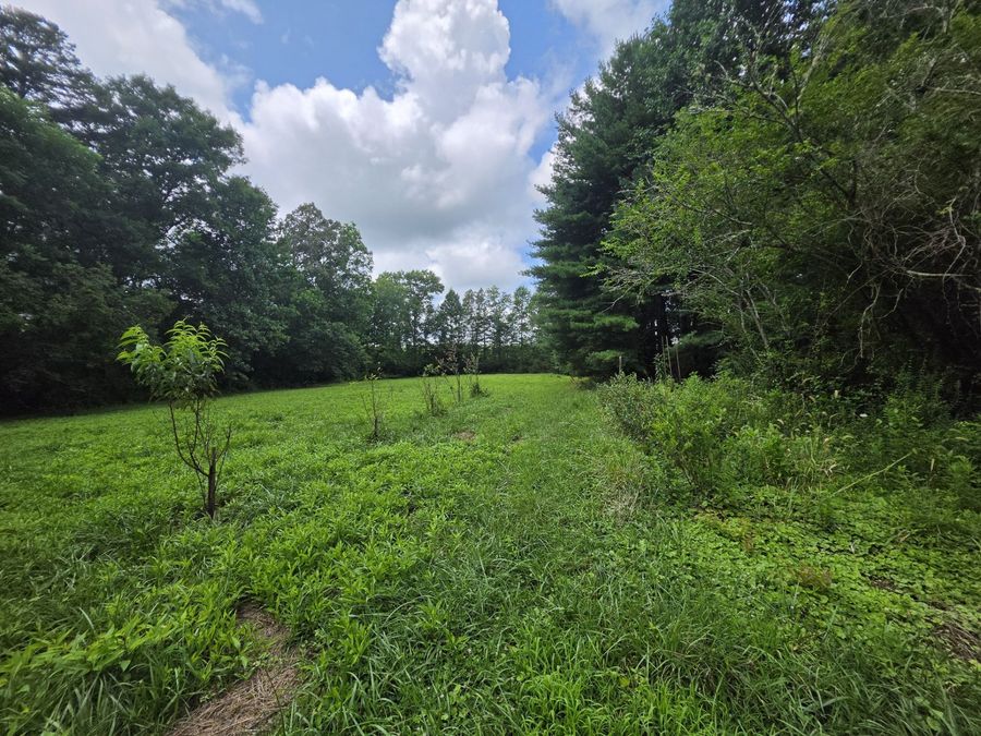 Property Image 40