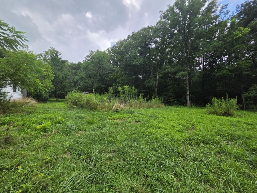 Property Image 41