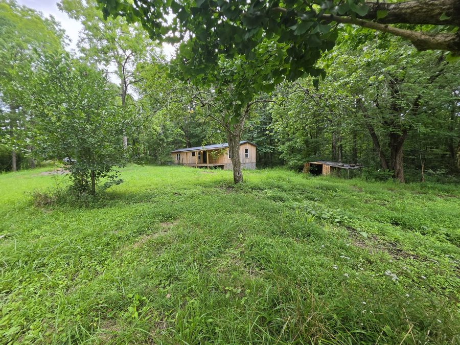 Property Image 42