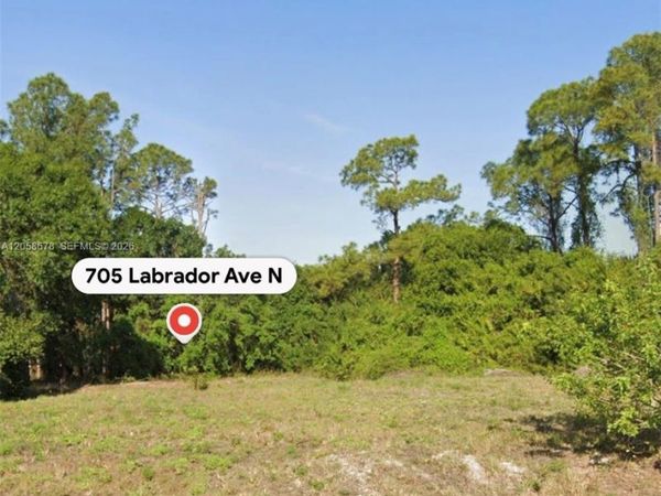 705 LABRADOR AVE N , Lehigh Acres, FL 33971