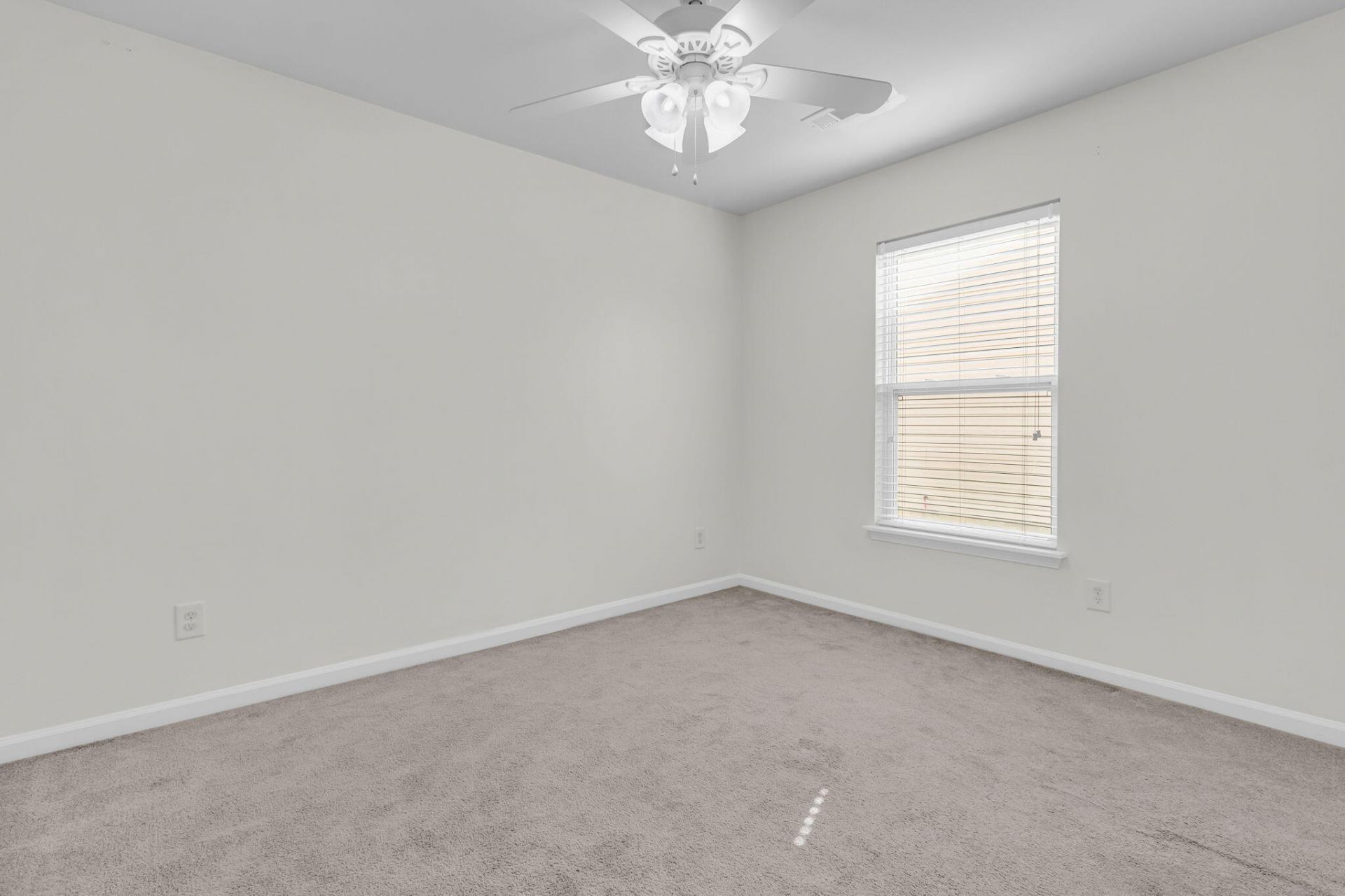 104 Tyger Street Photo 20
