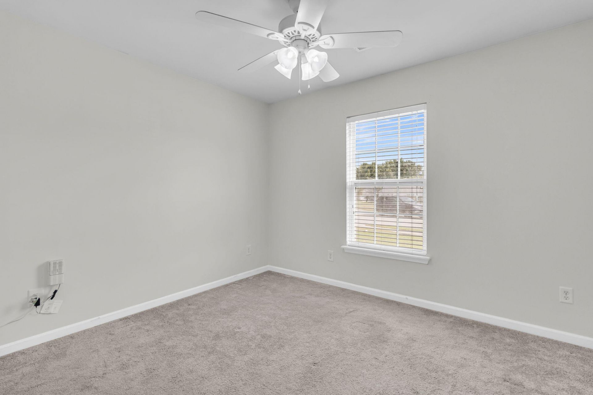 104 Tyger Street Photo 22