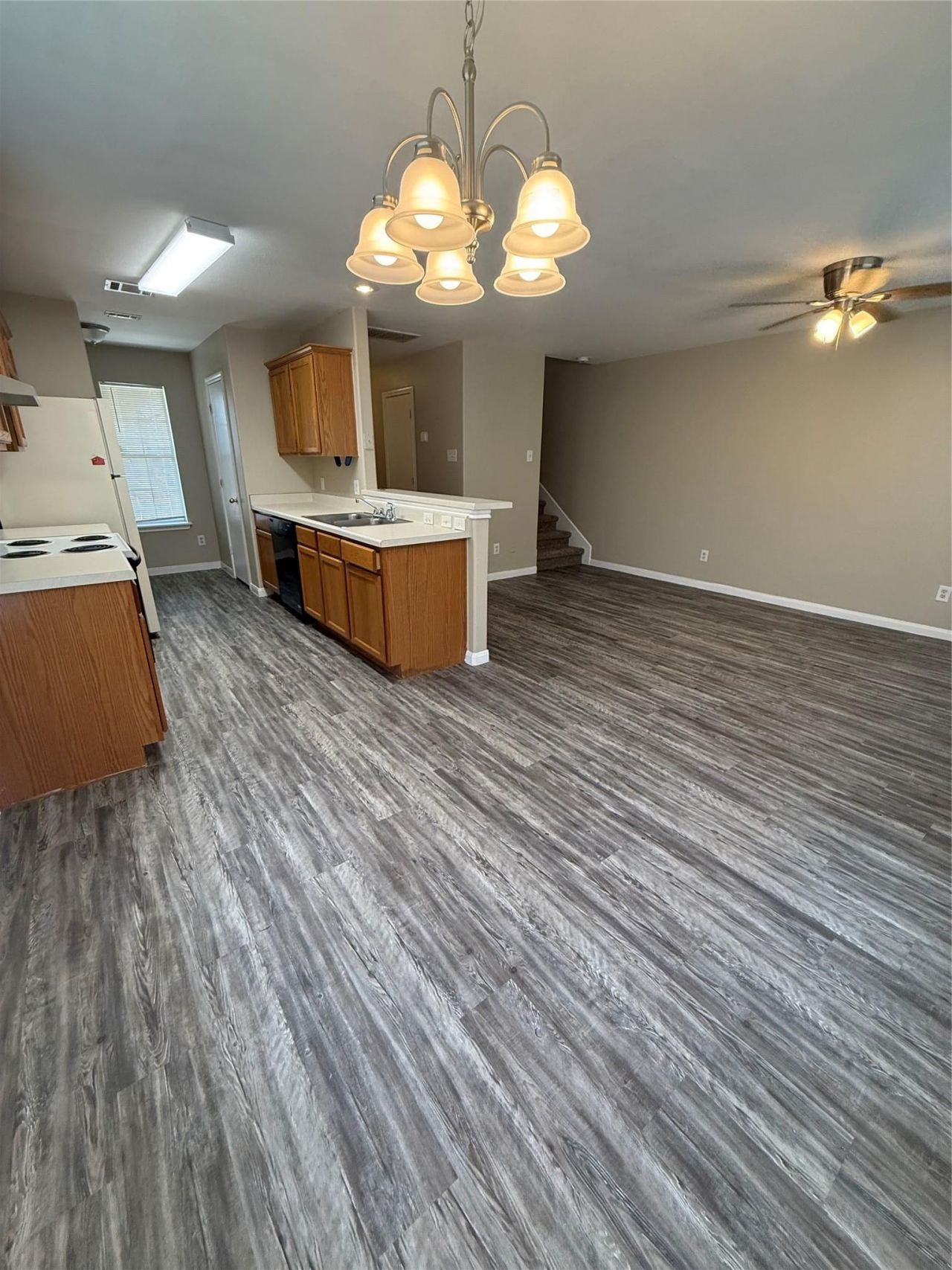 203 Marvin Cv, Hutto, TX 78634 Main Photo
