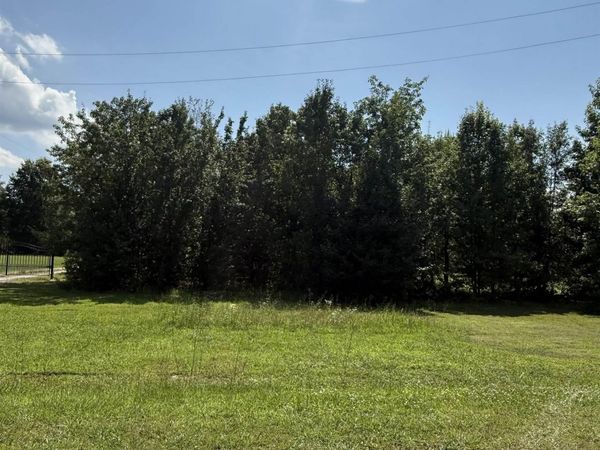 Lot 19 County Road 569, Cedar Bluff, AL 35959