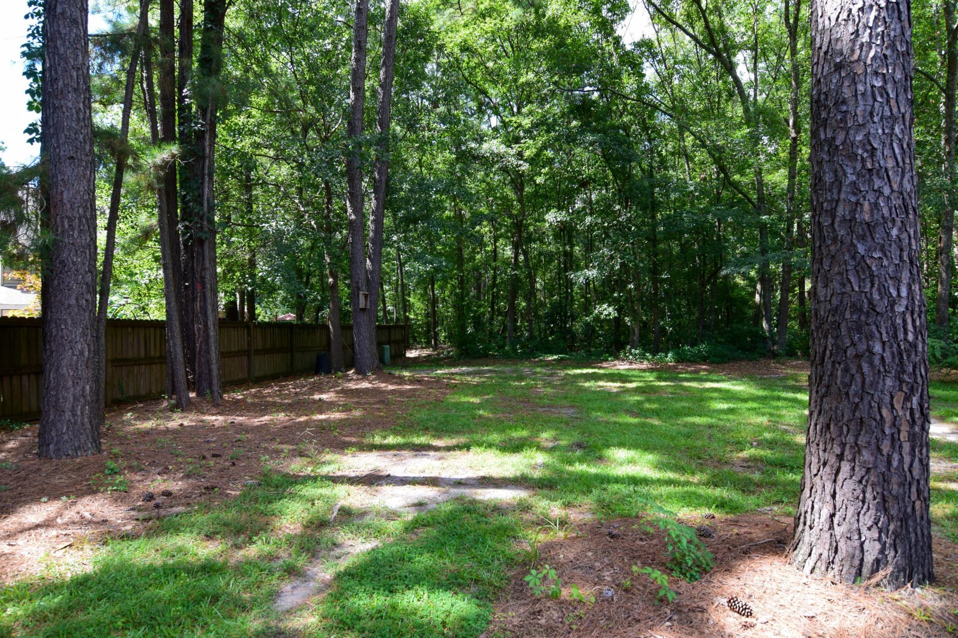 4753 Skillmaster Court Photo 21