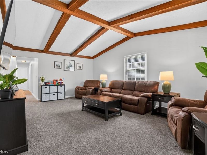 4711 Diane Drive, Ashtabula, OH 44004 Photo 47