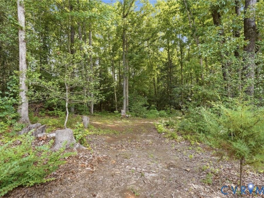 Property Image 45