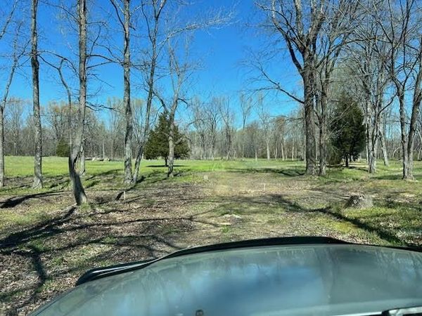 80 MACON RIDGE CV, Williston, TN 38076