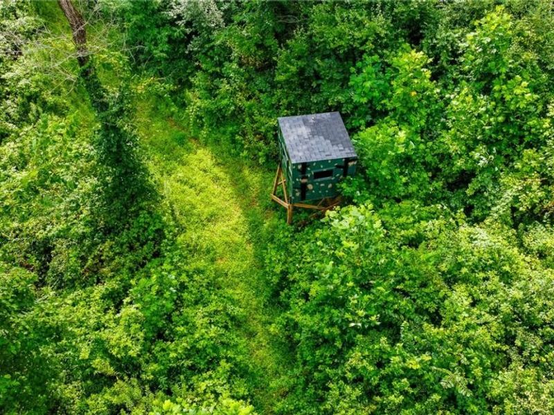 Ogles Ridge Road, Dexter City, OH 45727 Photo 27