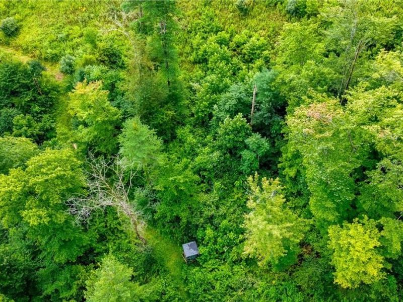 Ogles Ridge Road, Dexter City, OH 45727 Photo 29
