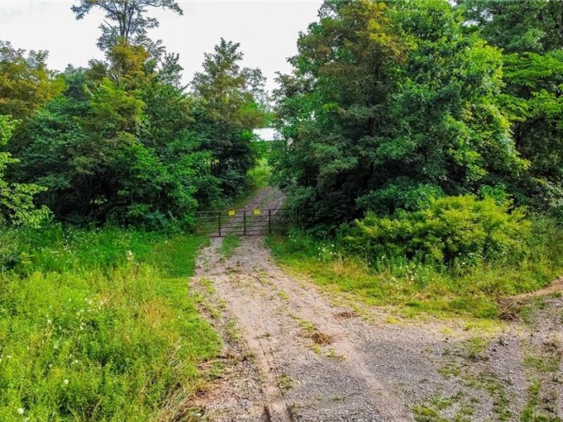 Ogles Ridge Road, Dexter City, OH 45727 Photo 30
