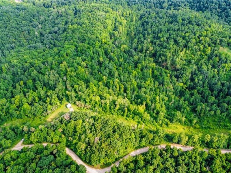Ogles Ridge Road, Dexter City, OH 45727 Photo 31