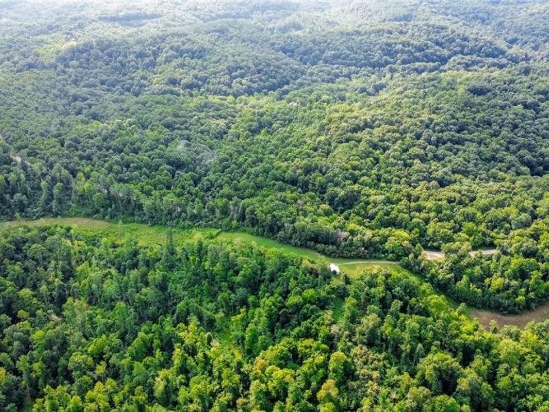 Ogles Ridge Road, Dexter City, OH 45727 Photo 33