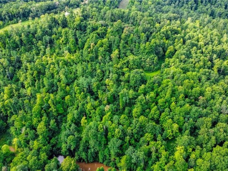 Ogles Ridge Road, Dexter City, OH 45727 Photo 35