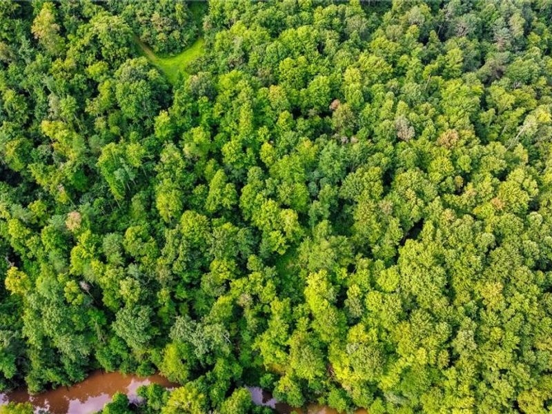 Ogles Ridge Road, Dexter City, OH 45727 Photo 36