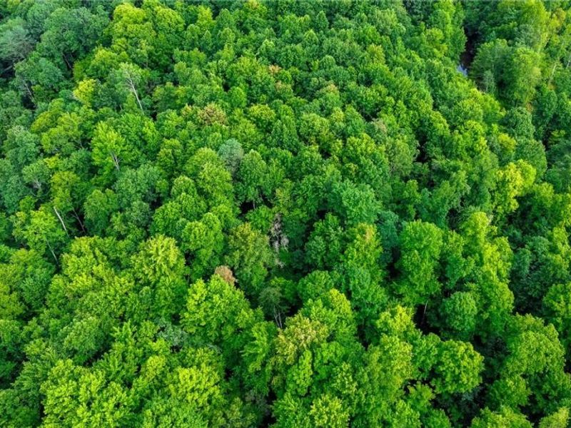 Ogles Ridge Road, Dexter City, OH 45727 Photo 38