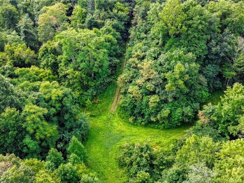 Ogles Ridge Road, Dexter City, OH 45727 Photo 39